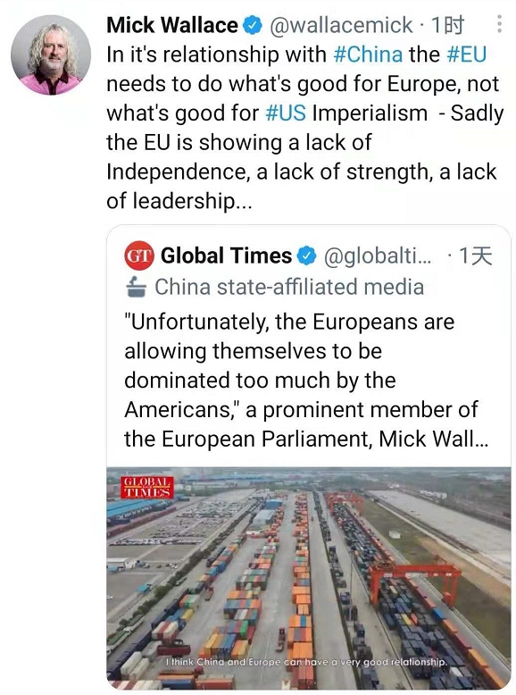 欧洲议员再谈中欧关系欧盟需做对欧洲有利的事情而非追随美国