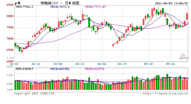 午评油脂煤炭商品涨幅居前棕榈主力合约涨近6%